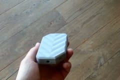 10937397_10202220396750157_732320389_n